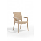 DOGANT 70X120 RATTAN CAMLI BEJ TAKIM 4 SANDALYE - 2