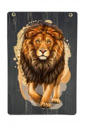 Galatasaray Orijinal Lisanslı Bebek Zıbın Etek 2li Set Hediyelik Ahşap Kutulu - 3