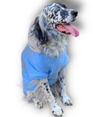 Triple Light Blue Kapşonlu Sweatshirt Orta ve Büyük Irklar İçin - 6