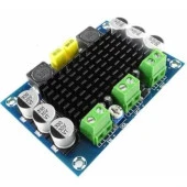 XH-M542 TPA3116D2 100W MONO KANAL DİJİTAL AMFİ DEVRESİ 12-26V - 1