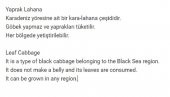 Ata Tohumu Yöresel Kara Lahana Karadeniz Lahanası, Yaprak Lahana 100 Adet Tohum - 2