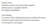 Ata Tohumu Yöresel Kara Lahana Karadeniz Lahanası, Yaprak Lahana 100 Adet Tohum - 2