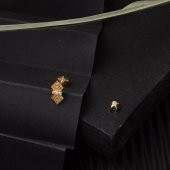 Amazon 14 Ayar Altın Tragus Küpe - 4