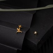 Minik Kuş 14 Ayar Altın Tragus Küpe - 4