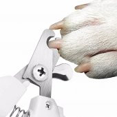 Kedi ve Köpek Tırnak Makası Evcil Hayvan Kedi Köpek Tavşan Kuş Tırnak Makası - 3
