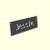 Jessie Tasmalık Künye Tag Kedi Köpek Evcil Hayvana İsme Özel Üretim İsimlik Hediyelik Organik Plastik - 8
