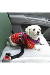 Siyah Kedi Köpek Araç Emniyet Kemeri Tasma Için Ayarlanabilir Araba Evcil Hayvan Oto Tasması - 1