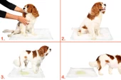 Yıkanabilir Köpek Çiş Pedi - 100 X 100 Cm 5li Paket - 2