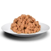 Jungle Pouch Somonlu Kedi Konserve 100 gr thumbnail 2