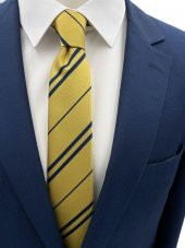 Brianze Sarı Lacivert Çizgili Hufflepuff Slim Kravat - 1