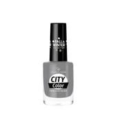 Golden Rose City Color Fall&Winter Collection No:306 - 1