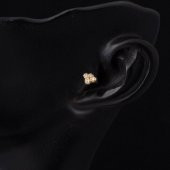 Tektaş 14 Ayar Tragus Altın Küpe - 2
