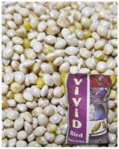 Vivid AK DARI 20Kg - 1