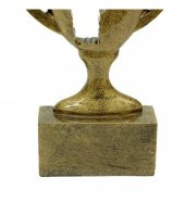 Basketbol Kupa Ödül - 5