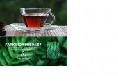 Paşabahçe penguen cam çay fincanı seti - nescafe fincanı 98396 - 3