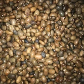 Yerli Sırık Uzun-Enli Turşuluk Fasulye 100 Gr (Boz) thumbnail 1