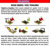 10 Adet Mor Beyaz Lale Tohumu + 10 Adet Gül Çiçek Tohumu - 6