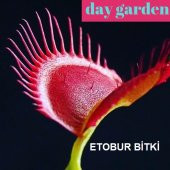 10 Adet Karışık Renk Venüs Sinek Kapan Etobur Bitki Tohumu - 4