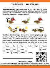 250 Adet 5 Farklı Akvaryum Bitkisi Tohumu + 10 Adet H.Lale Tohum - 4