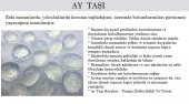 Doğal Ay Taşı Erkek& Kadın Kolye - 2
