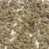 30 Adet Renkli Cherry Domates Tohumu + 10 Adet Gül Tohumu - 1