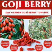 10 Adet Goji Berry Tohumu + 10 Adet Gül Tohumu - 1