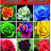50 Adet Gül Tohumu + 10 Adet Tohum - 2