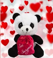 14 Şubat  Özel "Seni Seviyorum" Keseli Sevimli Panda-40 cm thumbnail 7