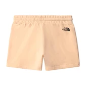 The North Face W LOGOWEAR SHORT Kadın Şort NF0A7QZX3R81 thumbnail 2