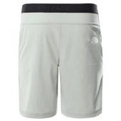 The North Face  Erkek GLACIER Şort thumbnail 2