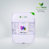 Vital 20 L 5-11-11+Me - 1