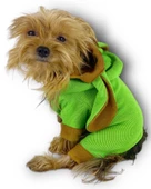 Froggy Kulaklı Köpek Tulumu Kıyafeti - 3