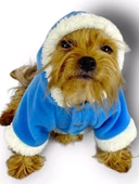 Blue Furry Kapşonlu Ceket Sweat by Kemique Köpek Kazağı - 1