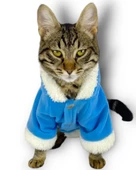 Blue Furry Kapşonlu Sweatshirt Ceket Kedi Süeteri Kıyafeti - 3