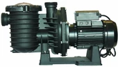 Superpool 2 hp Trifaze SCPA Serisi Havuz Pompası - 1