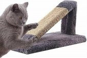 Kut Rampa Kedi Tırmalama 36boy-15en-23yük-42çapraz cm - 4
