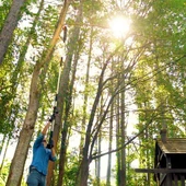 WORX WG349E 20Volt 2.0Ah Li-ion Tek Akülü 20CM Profesyonel Teleskobik Saplı Açı Ayarlı Zincirli Dal Budama - 10