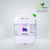 Organo 20 L - 1