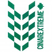 Orman Yeşili Damalı Kask Motosiklet Sticker Takımı Çınar Extreme thumbnail 2