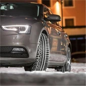 Nokian Tyres 215/55 R17 98V XL WR A4 Kış Lastiği (2018 Üretimi) thumbnail 2