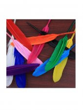 Hayal Sepeti Kuş Tüyü Renkli 10adet - 3