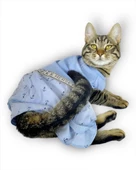 Blue Hersey Beck Kedi Elbisesi Kedi Kıyafeti thumbnail 3