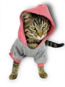 MyPocket Sweatshirt Duo Kapşonlu Kedi Kıyafeti Kedi Sweatshirt thumbnail 4