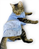 Blue Hersey Beck Kedi Elbisesi Kedi Kıyafeti thumbnail 1