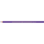 Bic İntensity Color Up Kuru Boya Kalemi 12Li - 3
