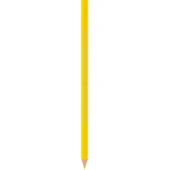 Bic İntensity Color Up Kuru Boya Kalemi 12Li - 5