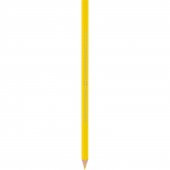 Bic İntensity Color Up Kuru Boya Kalemi 12Li - 5