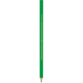 Bic İntensity Color Up Kuru Boya Kalemi 12Li - 4