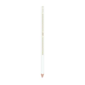 Bic İntensity Color Up Kuru Boya Kalemi 12Li - 2