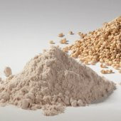 Dola Glutensiz Beyaz Sorgum Unu 25 KG - 2